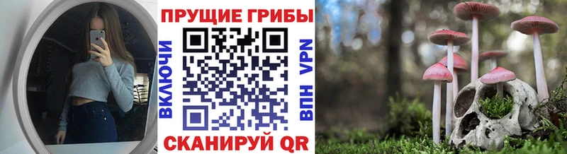 Псилоцибиновые грибы Psilocybine cubensis Кузнецк